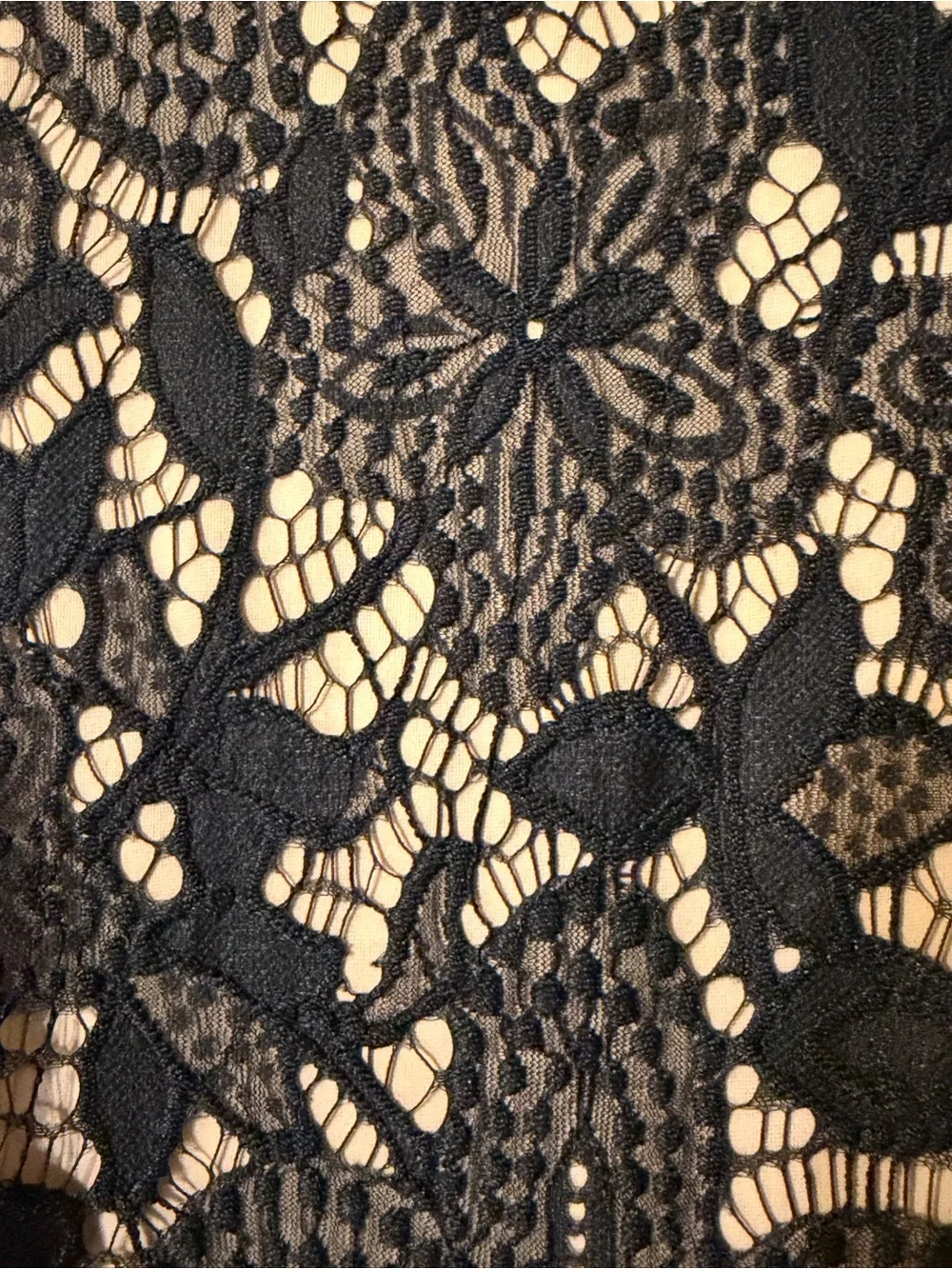 Express Black Crochet Floral Eyelash Lace Overlay Victorian Crop Top Blouse Sz S